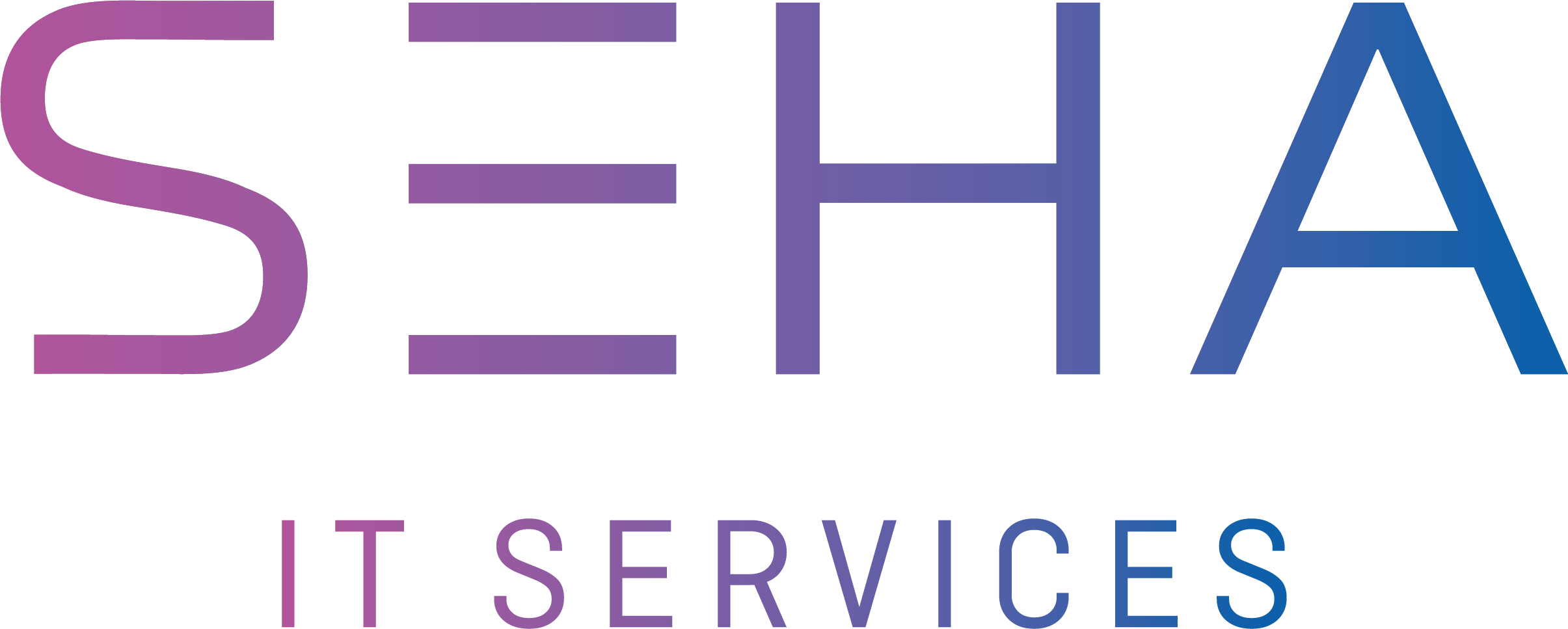 SEHA IT Services – IT-Betreuung für Unternehmen in Steinheim an der Murr